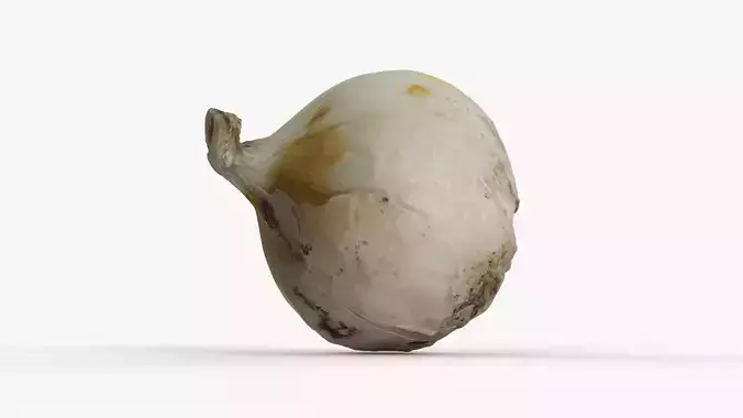 Photorealistic 3D scan of onion Low-poly 3D model 3