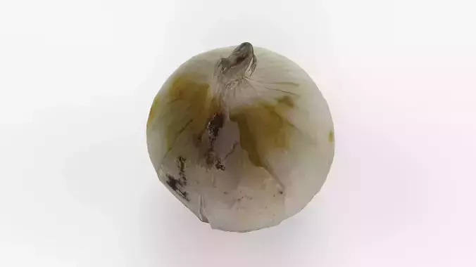 Photorealistic 3D scan of onion Low-poly 3D model 7