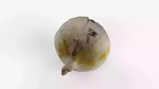 Photorealistic 3D scan of onion Low-poly 3D model 6
