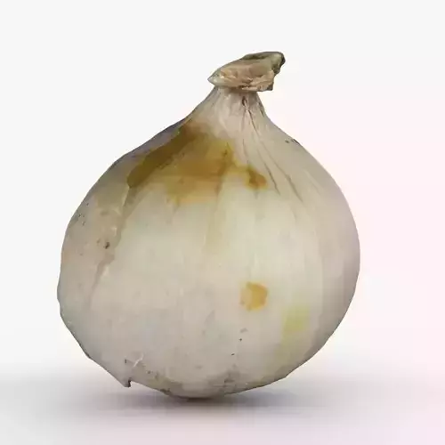 Photorealistic 3D scan of onion