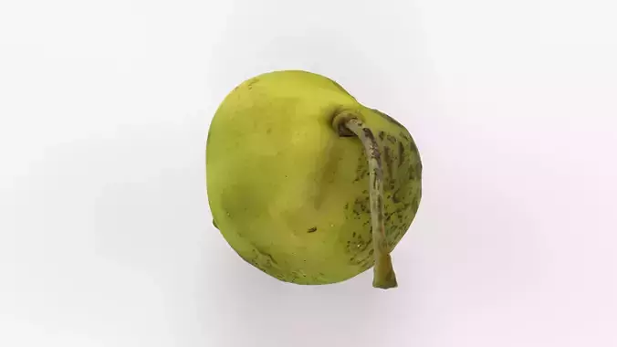 Photorealistic 3D scan of ripe green pear with stem Low-poly 3D model 6