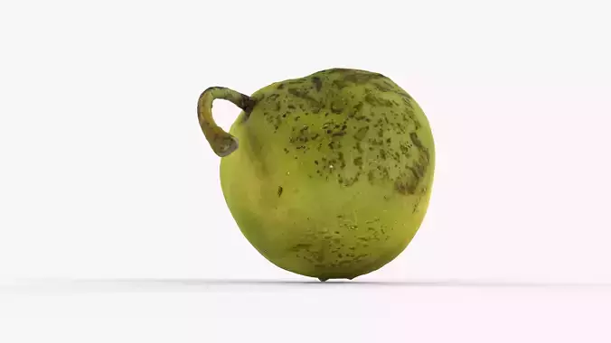 Photorealistic 3D scan of ripe green pear with stem Low-poly 3D model 7