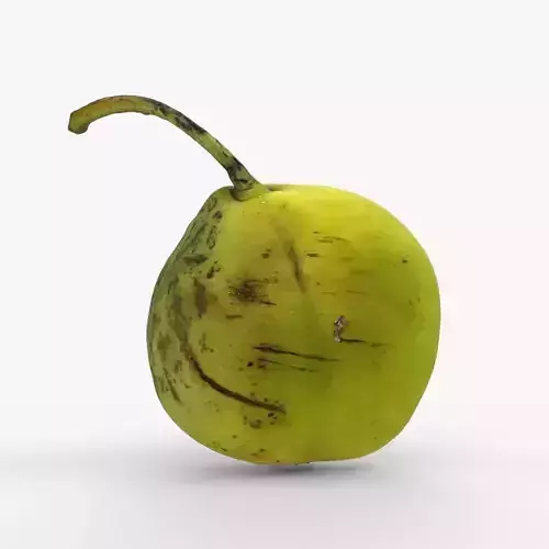 Photorealistic 3D scan of ripe green pear with stem Low-poly 3D model