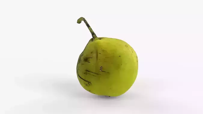 Photorealistic 3D scan of ripe green pear with stem Low-poly 3D model 2