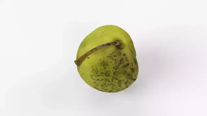 Photorealistic 3D scan of ripe green pear with stem Low-poly 3D model 3