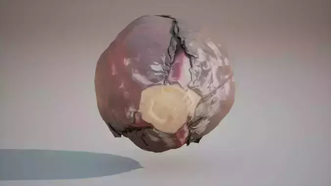 Low Poly of Red cabbage 3d model Game ready Low-poly 3D model 6