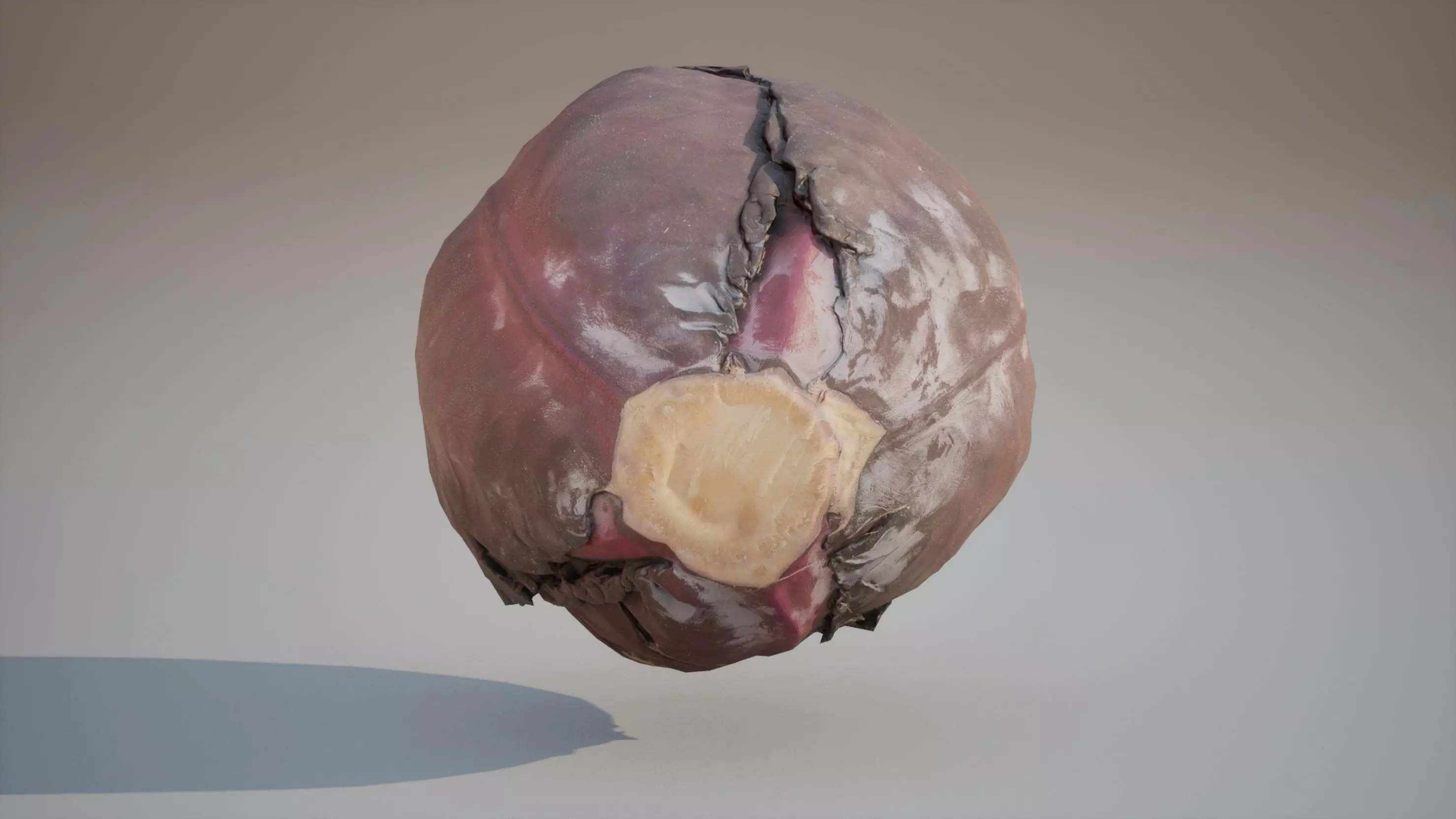 Low Poly of Red cabbage 3d model Game ready Low-poly 3D model_5