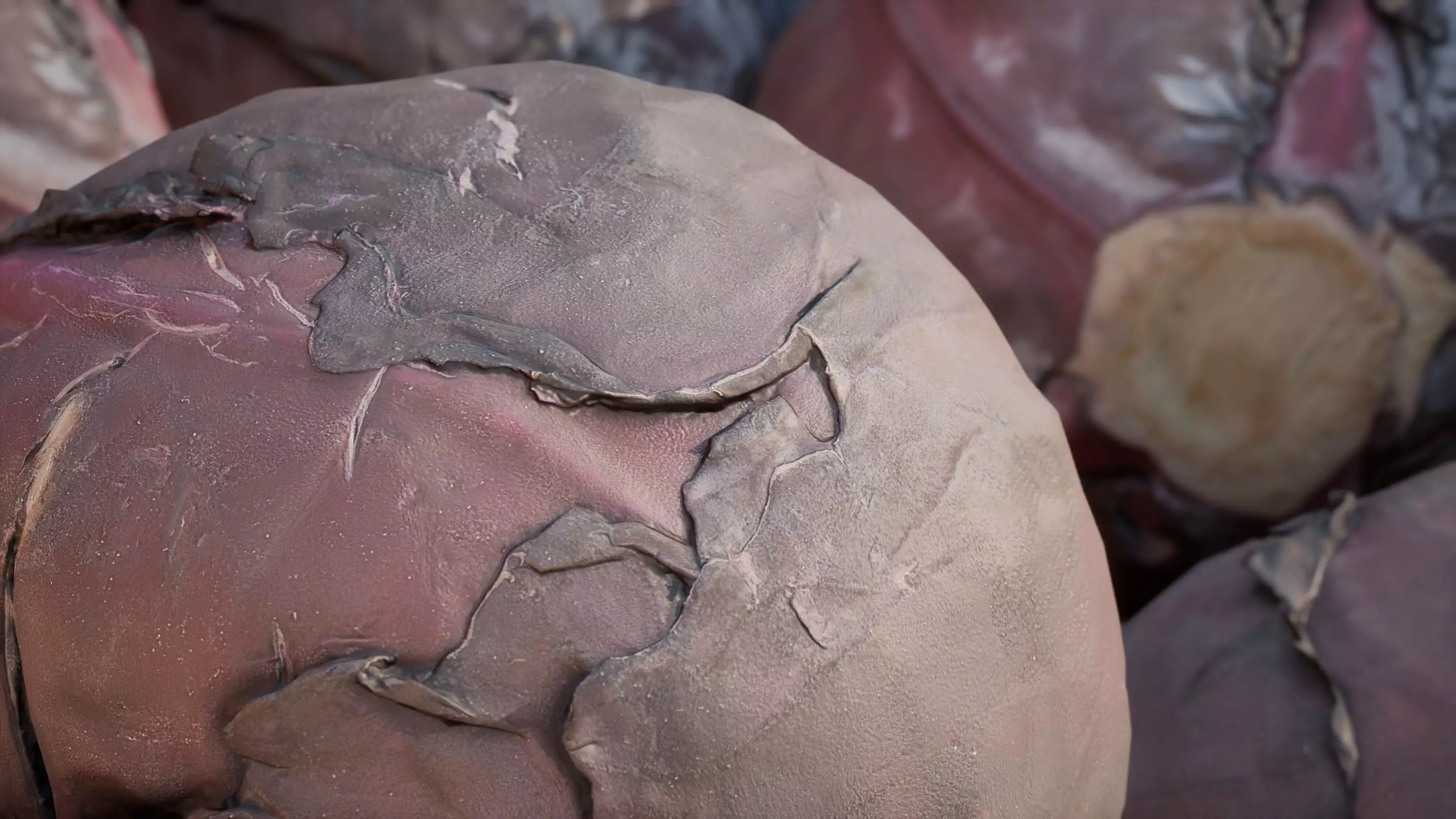 Low Poly of Red cabbage 3d model Game ready Low-poly 3D model_6