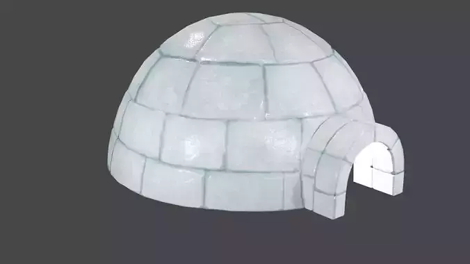 Igloo