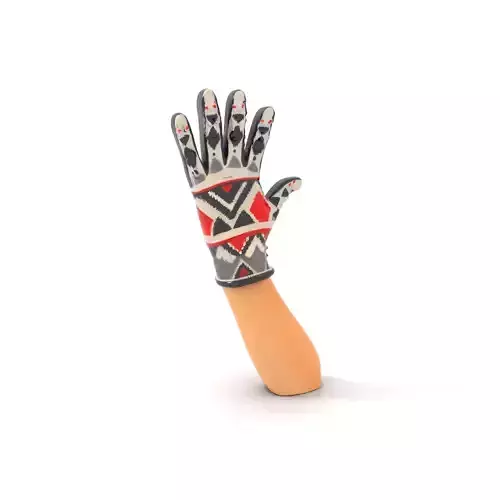 Geometric Pattern Glove Model Pack Low-poly 3D model