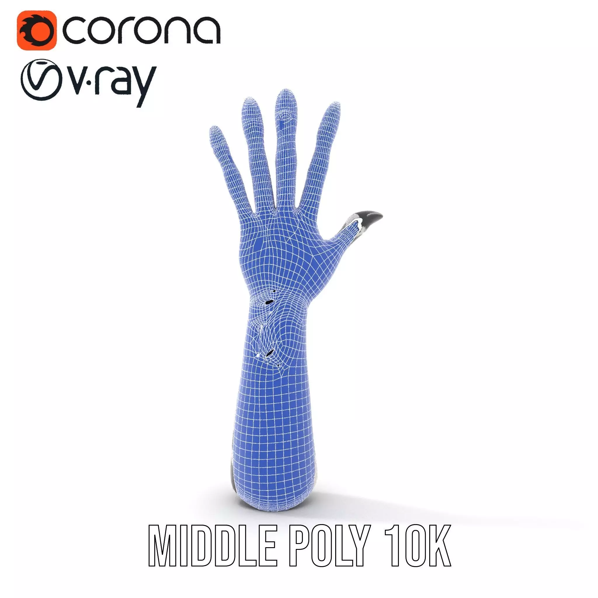 Skeleton Glove Hand model pack with detailed textures Low-poly 3D model_21