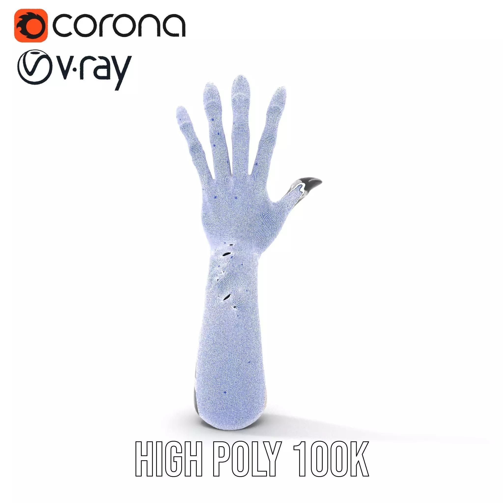 Skeleton Glove Hand model pack with detailed textures Low-poly 3D model_31