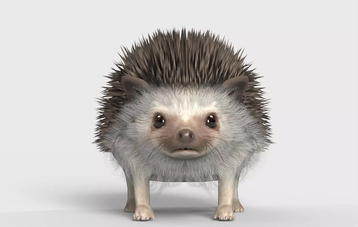 Realistic Hedgehog 3D Model  low poly Rigged Low-poly 3D model_2