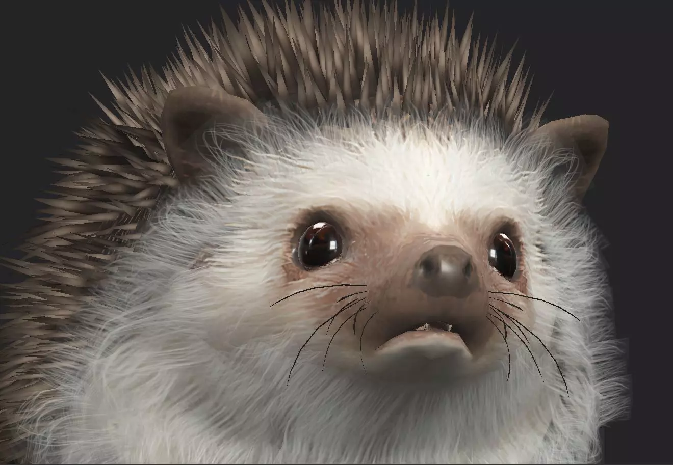 Realistic Hedgehog 3D Model  low poly Rigged Low-poly 3D model_5