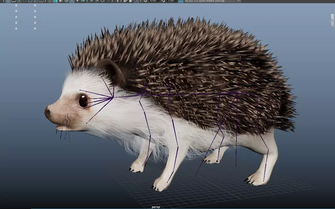 Realistic Hedgehog 3D Model  low poly Rigged Low-poly 3D model_7