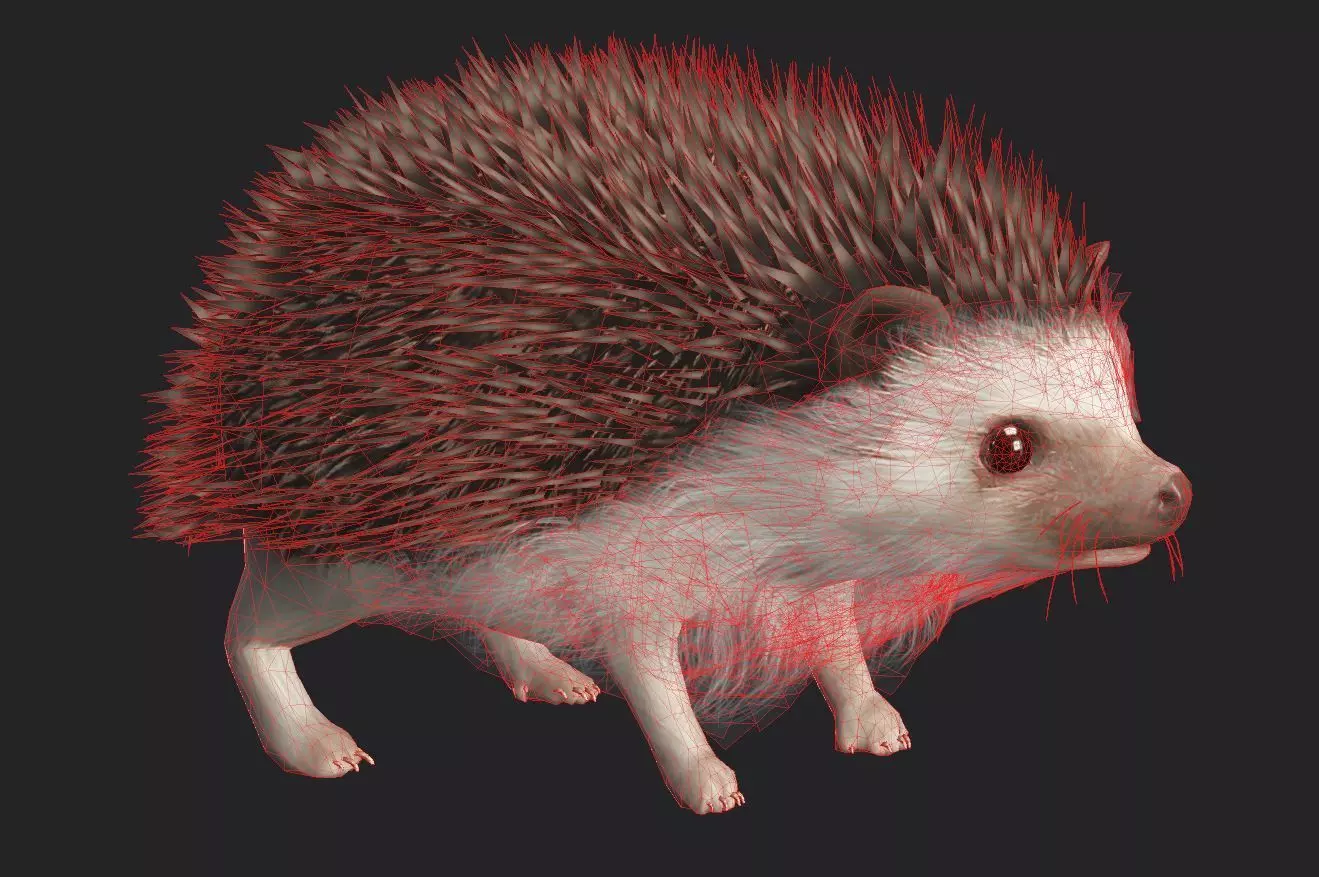 Realistic Hedgehog 3D Model  low poly Rigged Low-poly 3D model_6
