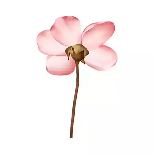 Beautiful 3D Flower Model