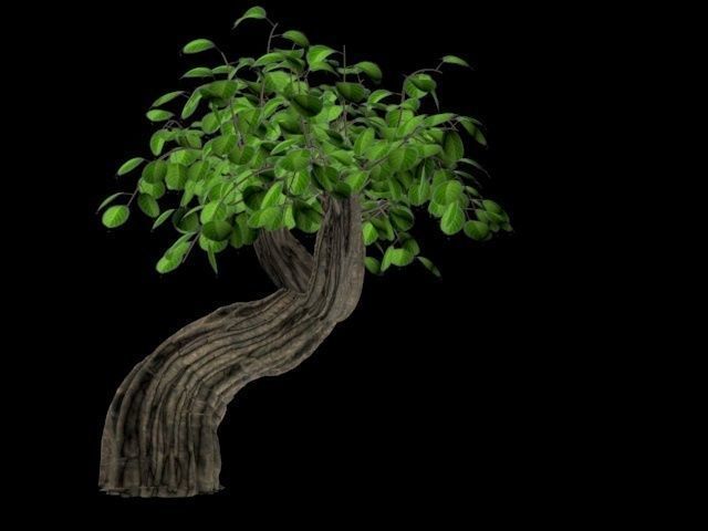 CartoonTree 001 Free 3D print model