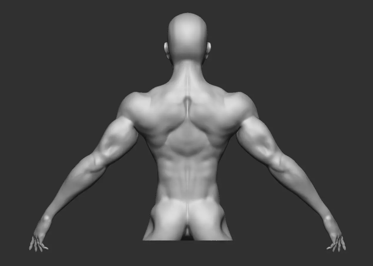 Stylized Male Base Mesh Low-poly 3D model_1