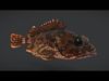 False Kelpfish - Red Rockfish Animated 3D model_1