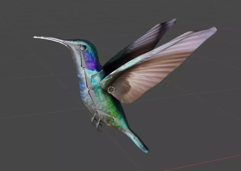 bird 3d model Low-poly 3D model_6
