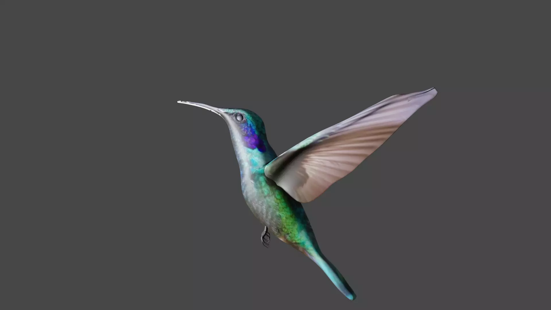 bird 3d model Low-poly 3D model_0