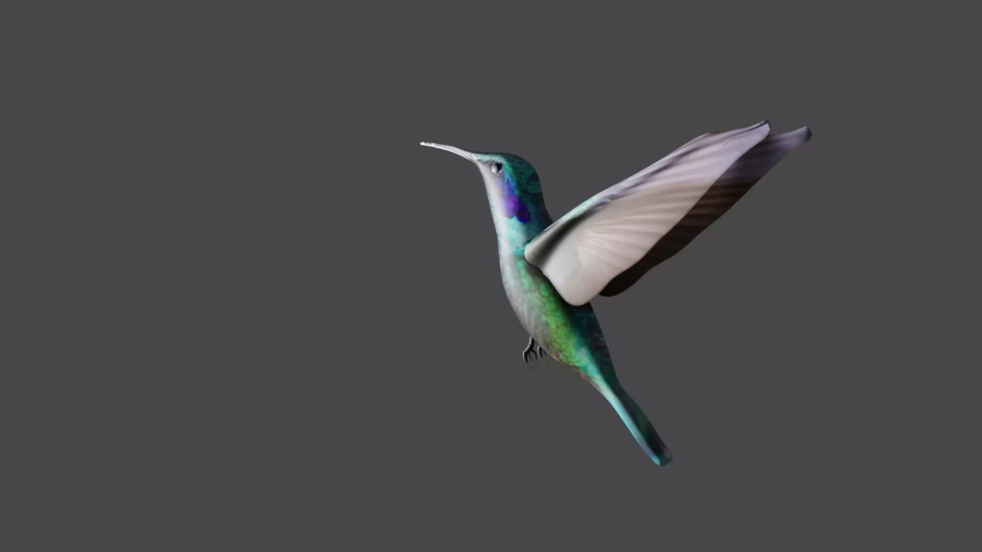 bird 3d model Low-poly 3D model_1