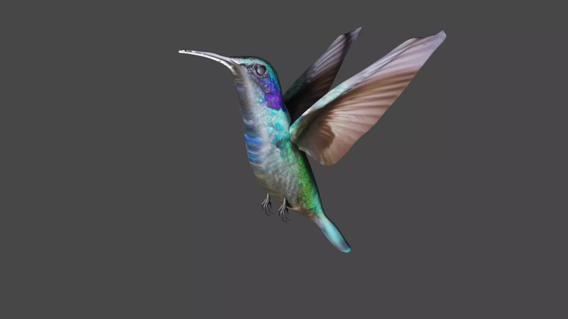 bird 3d model Low-poly 3D model_2