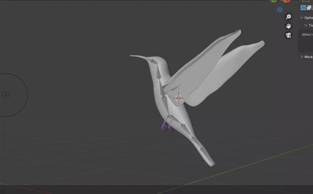 bird 3d model Low-poly 3D model_4