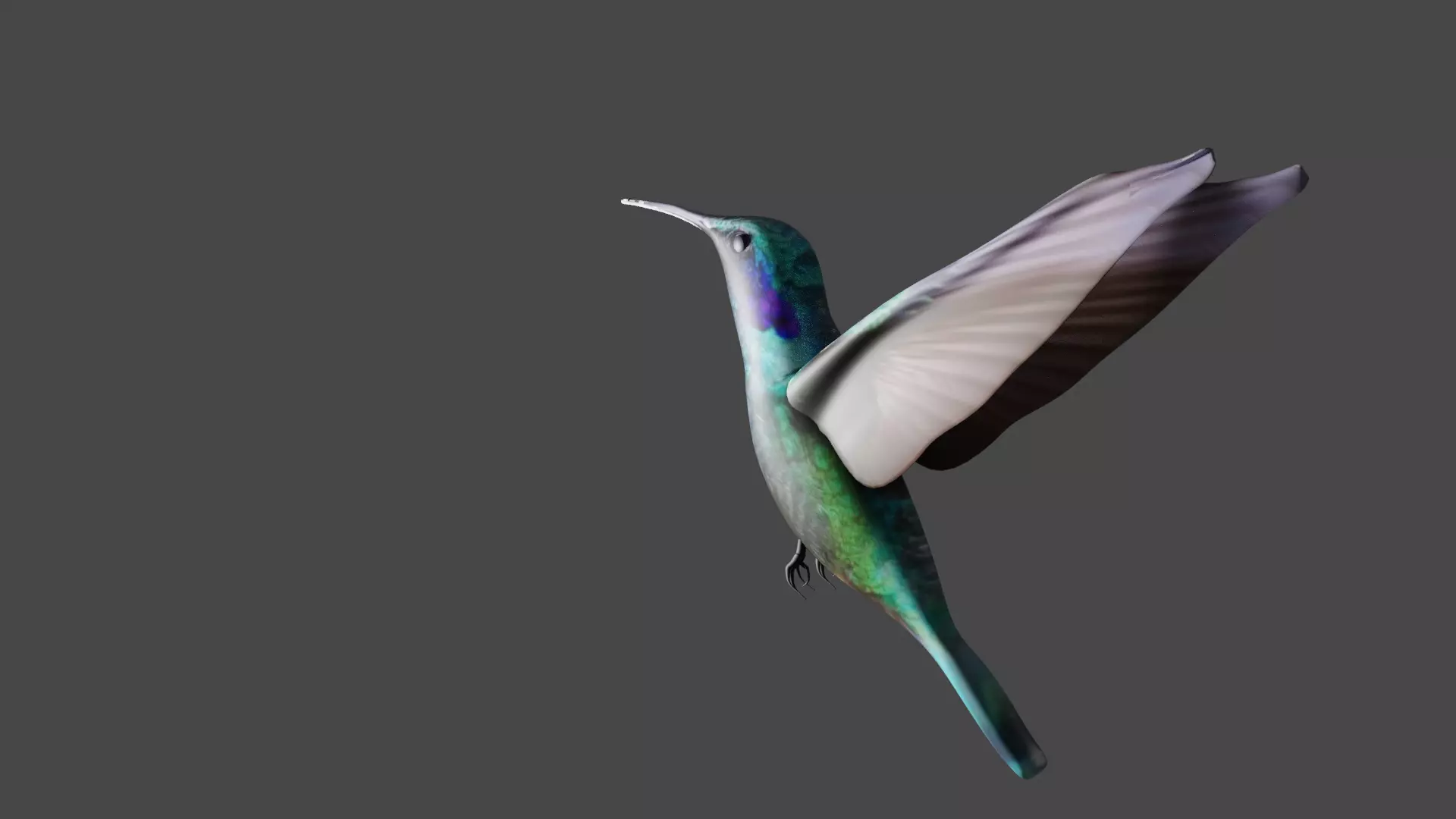bird 3d model Low-poly 3D model_5