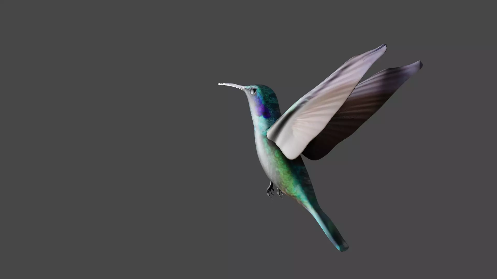 bird 3d model Low-poly 3D model_3