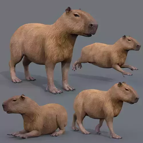 Capybara Capivara - 8k - 3d animated 3D model