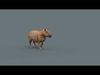 Capybara Capivara - 8k - 3d animated 3D model_2