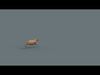 Capybara Capivara - 8k - 3d animated 3D model_3