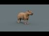 Capybara Capivara - 8k - 3d animated 3D model_1