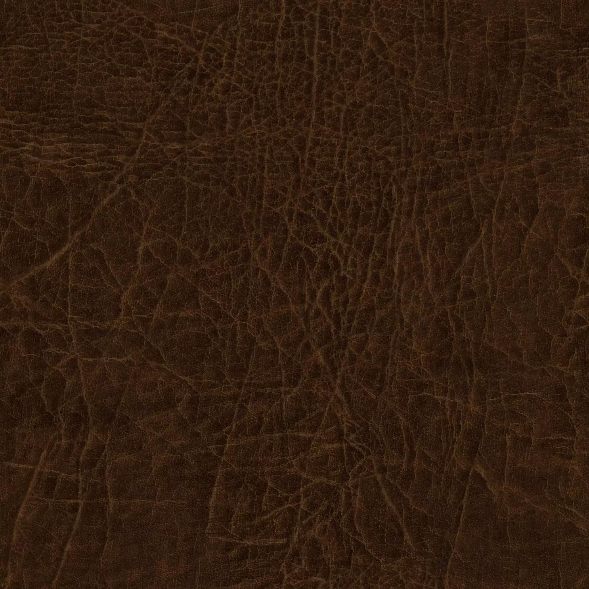 Fierce Orc Warrior 3D model_38