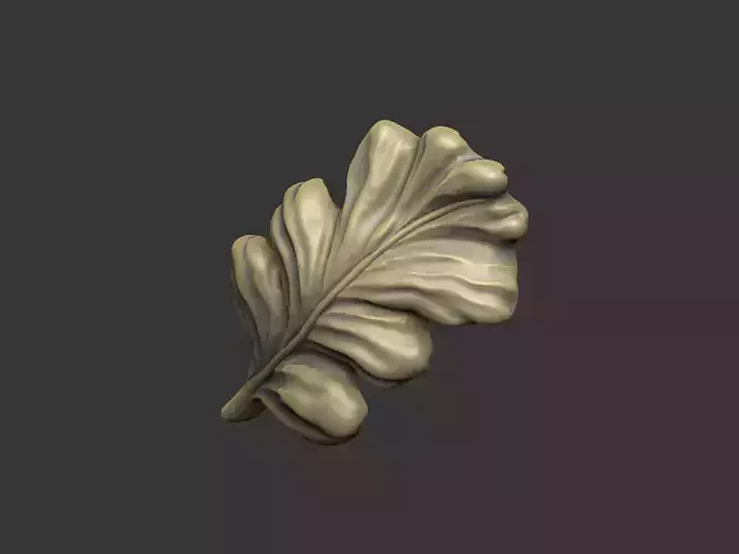 Oak Leaf high detail design nature organic wild