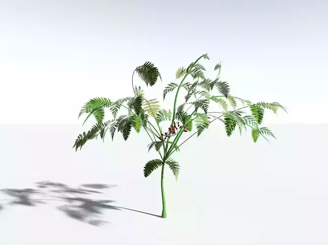 EVERYPlant Lyginopteris Royalii -16 Models- 3D model