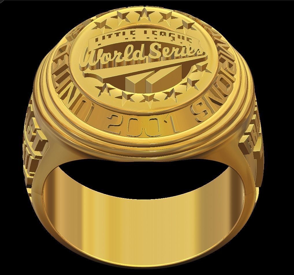 World ring 3D print model