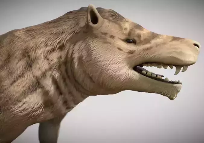 Andrewsarchus mongoliensis 