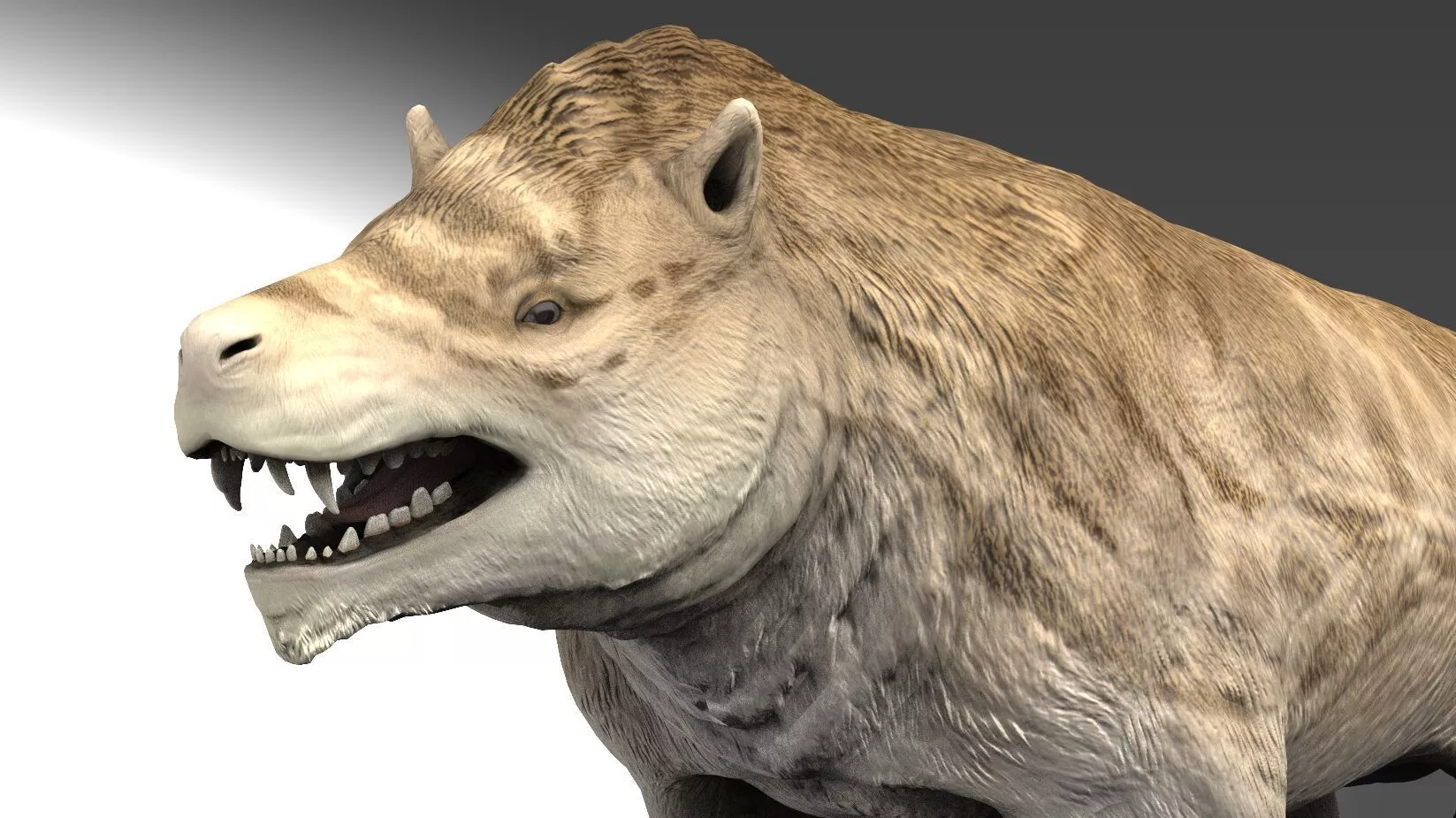 Andrewsarchus mongoliensis Low-poly 3D model