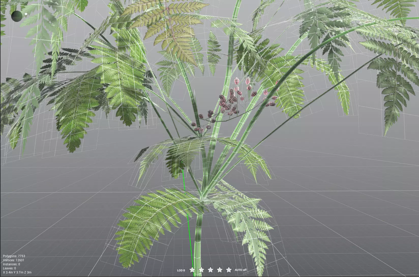 EVERYPlant Lyginopteris Royalii LowPoly Low-poly 3D model_33
