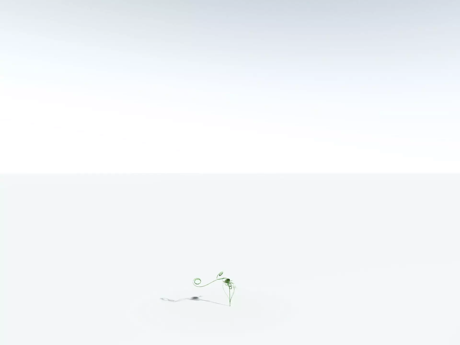 EVERYPlant Lyginopteris Royalii LowPoly Low-poly 3D model_28