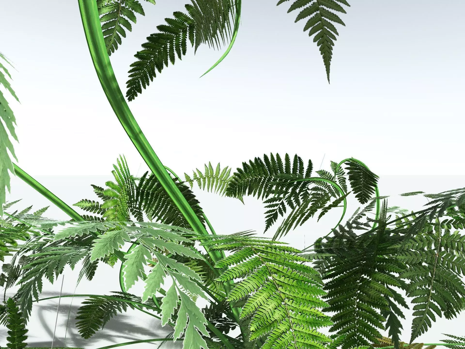 EVERYPlant Lyginopteris Royalii LowPoly Low-poly 3D model_23