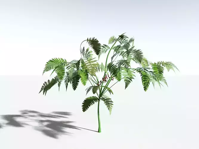 EVERYPlant Lyginopteris Royalii LowPoly -16 Models- Low-poly 3D model