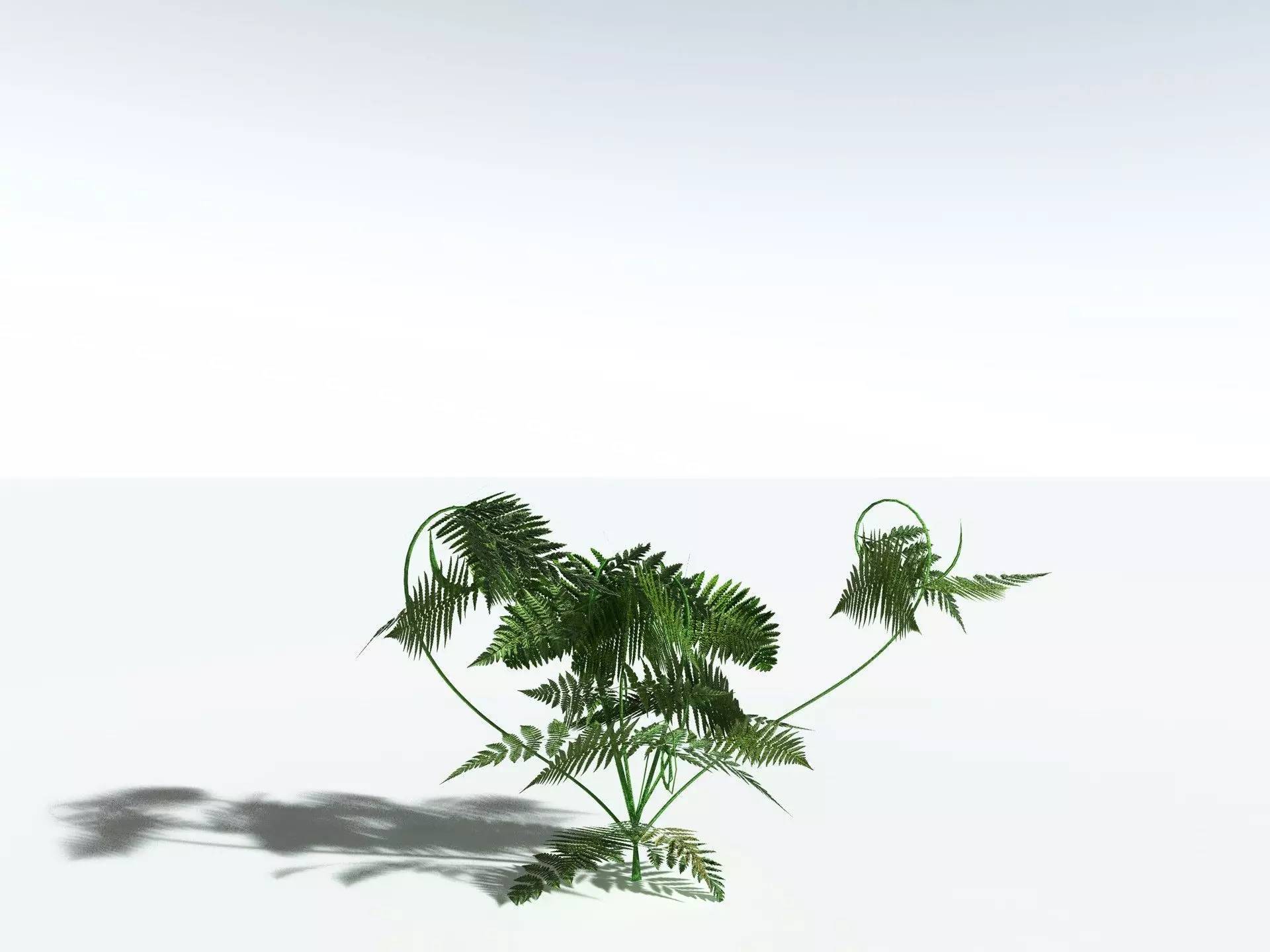 EVERYPlant Lyginopteris Royalii LowPoly Low-poly 3D model_27