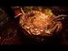 The Maw of Xylos - Animated Creature Portal Low-poly 3D model_1
