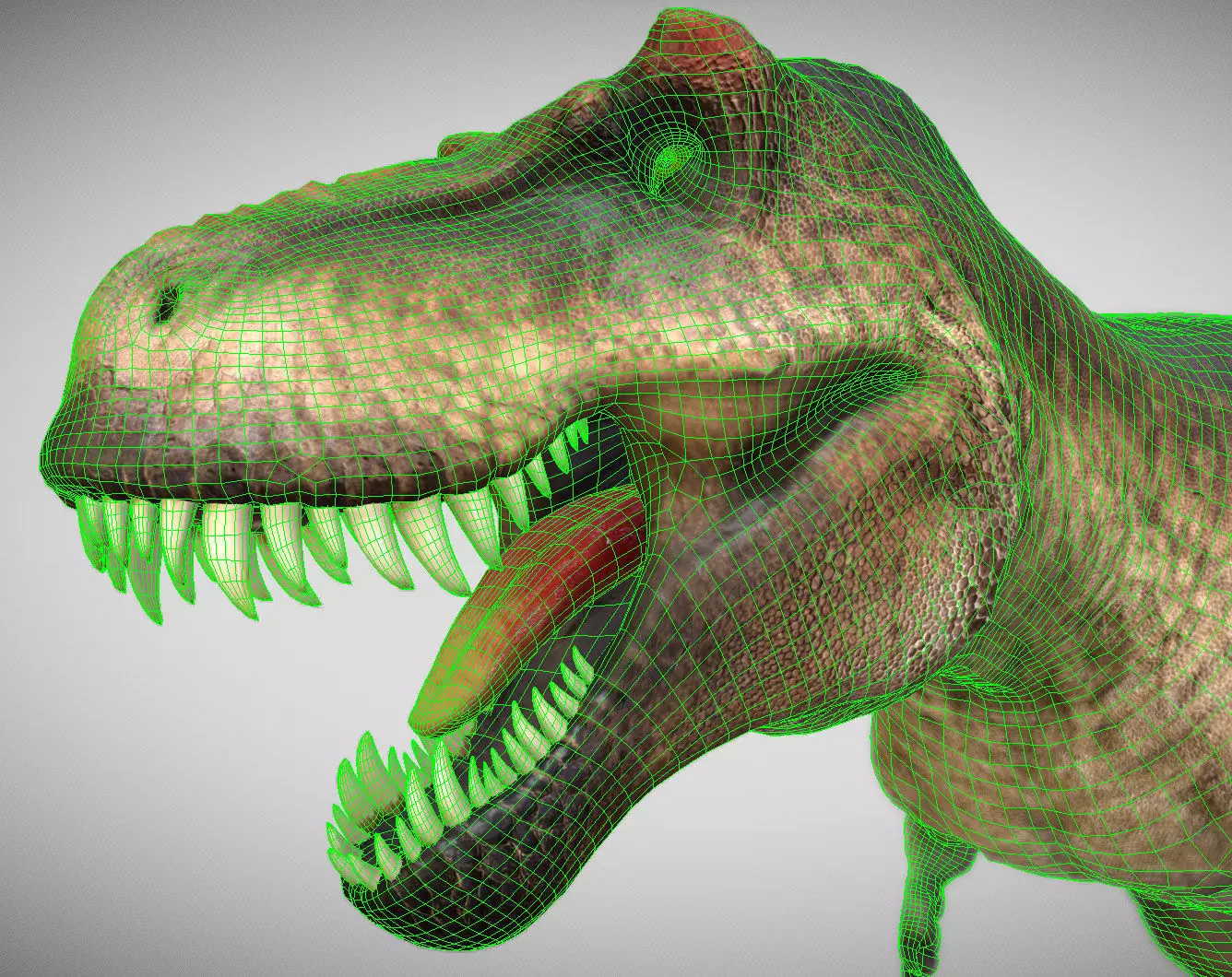 Tyrannosaurus rex Scotty Low-poly 3D model_1
