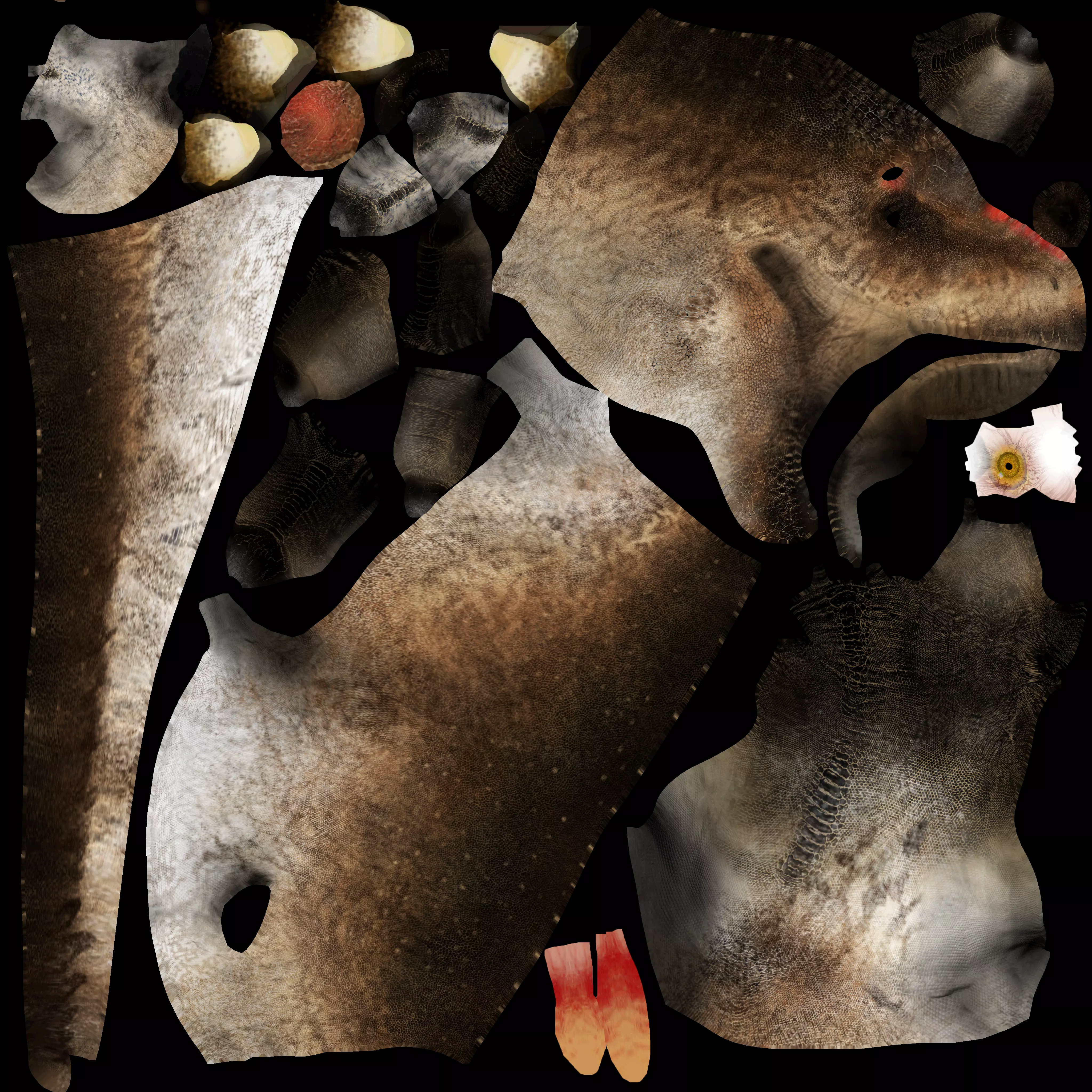 Tyrannosaurus rex Scotty Low-poly 3D model_9