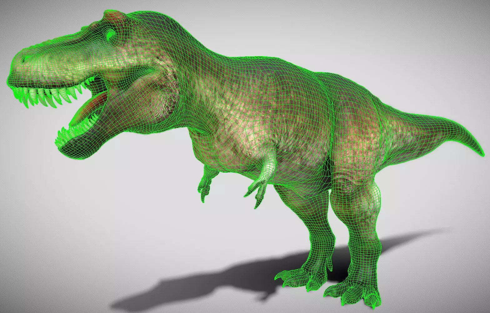 Tyrannosaurus rex Scotty Low-poly 3D model_2